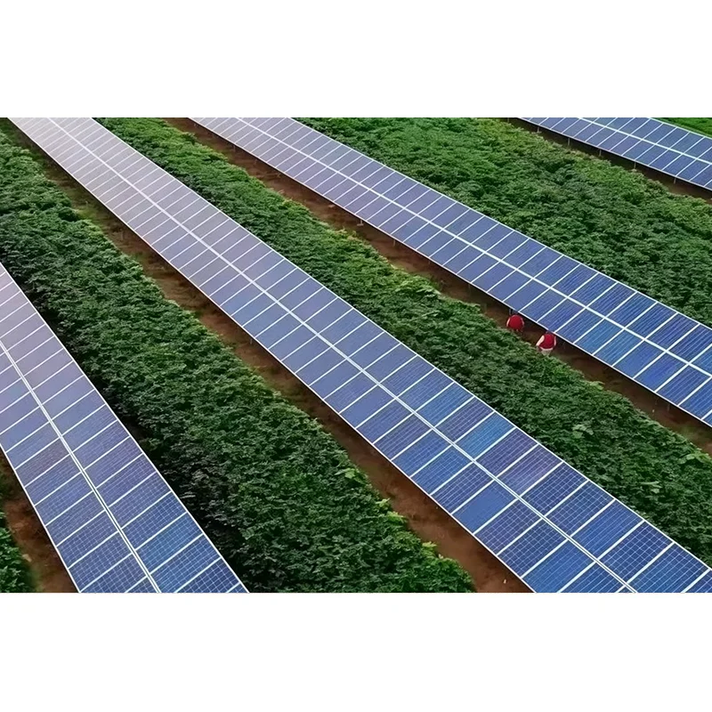 आधुनिक PV परियोजनाहरूका लागि टिल्टेड सिंगल-एक्सिस सोलार ट्रयाकर प्रणालीलाई के प्रभावकारी बनाउँछ?